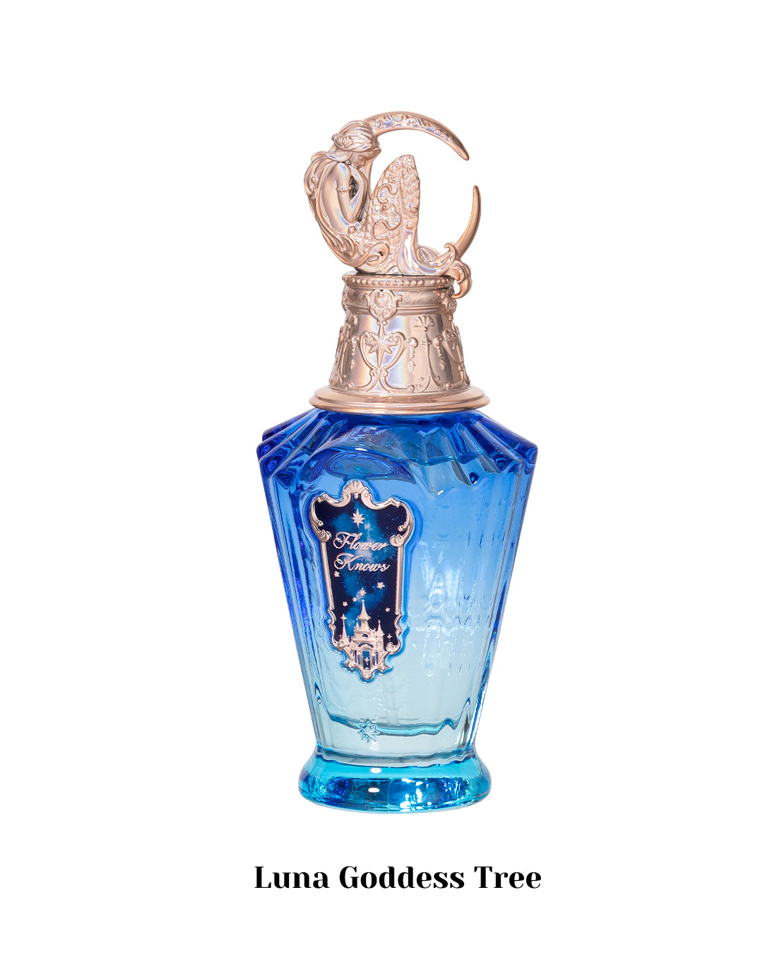 Perfume -1 (Bundle)