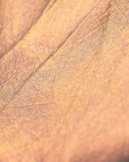 Midsummer Fairytales Liquid Highlighter - 03 Pixie Dream
